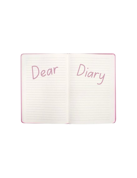 go to diary